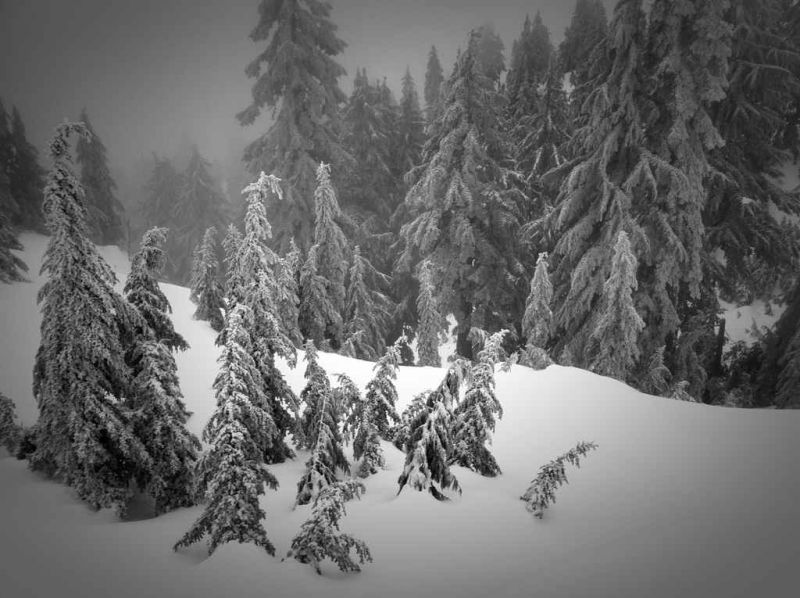 end of december 2011.jpg